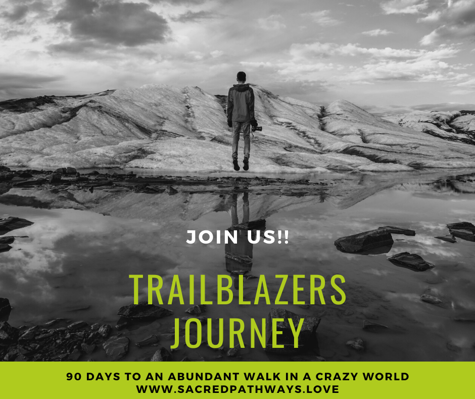 The Trailblazers Journey